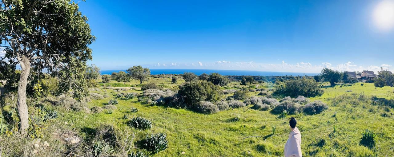 For Sale: Residential land, Pissouri, Limassol, Cyprus FC-59698 - #2 For Sale: Residential land, Pissouri, Limassol, Cyprus FC-59698 - #2
