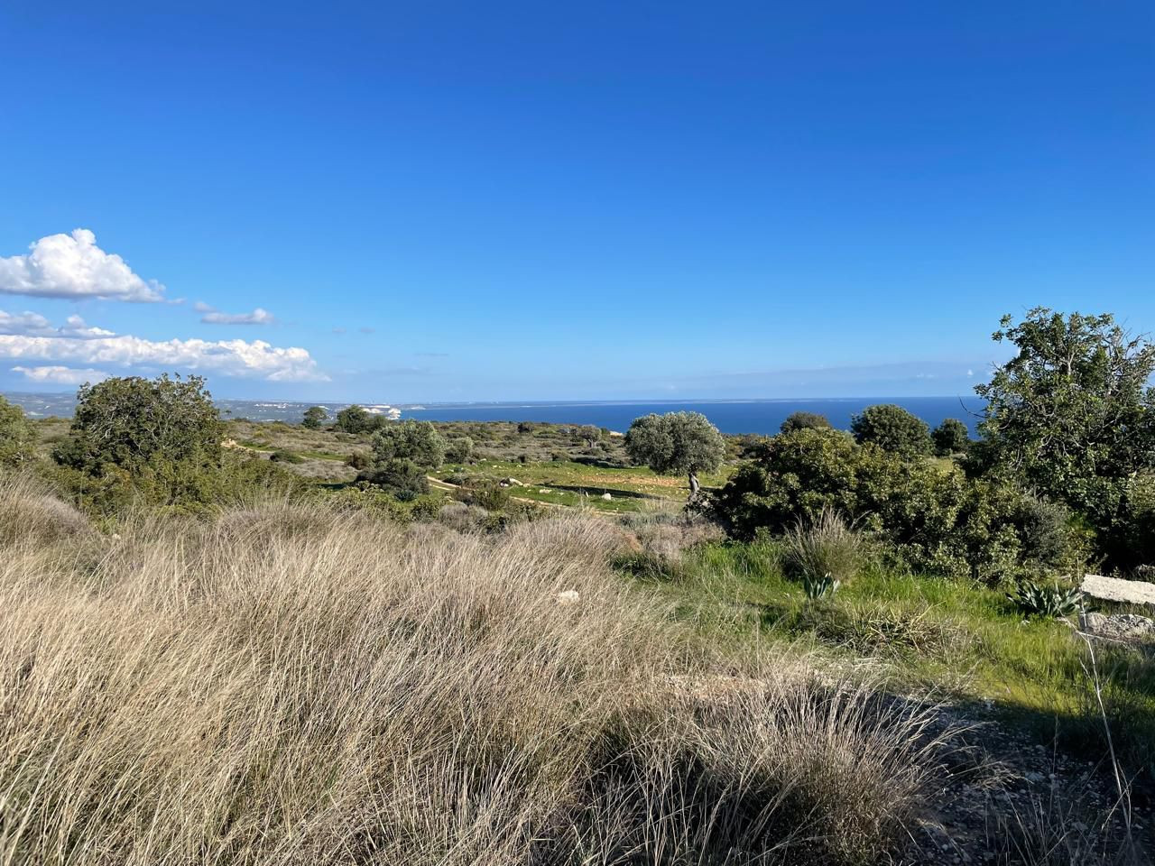 For Sale: Residential land, Pissouri, Limassol, Cyprus FC-59698 - #3 For Sale: Residential land, Pissouri, Limassol, Cyprus FC-59698 - #3