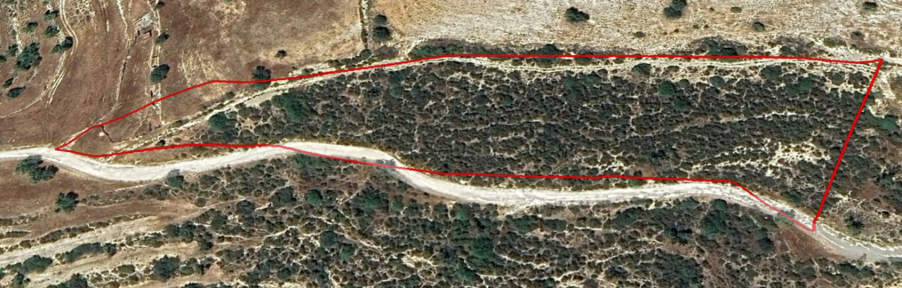 For Sale: Agricultural land, Korfi, Limassol, Cyprus FC-60125 - #1 For Sale: Agricultural land, Korfi, Limassol, Cyprus FC-60125 - #1