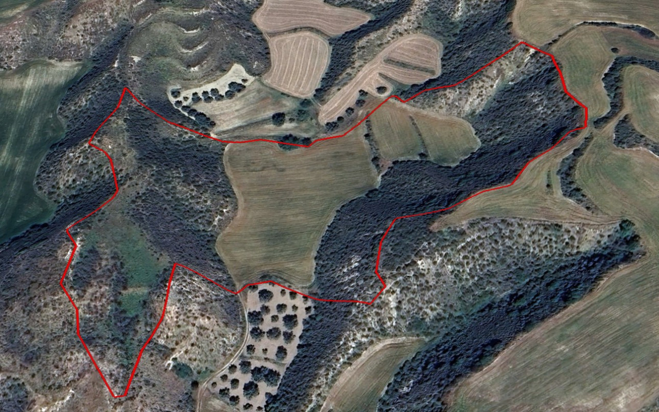 For Sale: Agricultural land, Steni, Paphos, Cyprus FC-60294 - #1 For Sale: Agricultural land, Steni, Paphos, Cyprus FC-60294 - #1