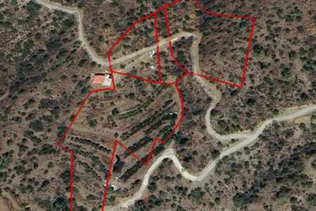 For Sale: Agricultural land, Arakapas, Limassol, Cyprus FC-60413