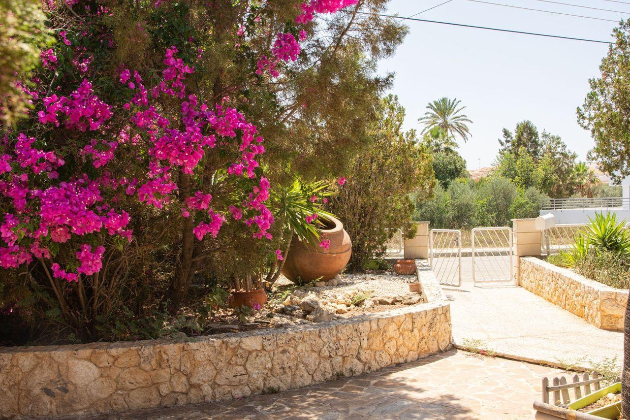 For Sale: Detached house, Engomi, Nicosia, Cyprus FC-60536 - #14 For Sale: Detached house, Engomi, Nicosia, Cyprus FC-60536 - #14