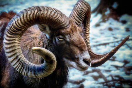 Weather and holidays in Cyprus in December: excursions, mountains, and comfort