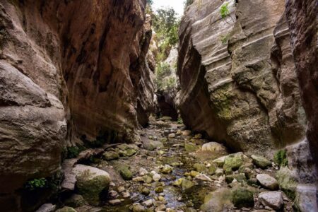 Avakas Gorge – a natural wonder of Cyprus in the heart of Akamas