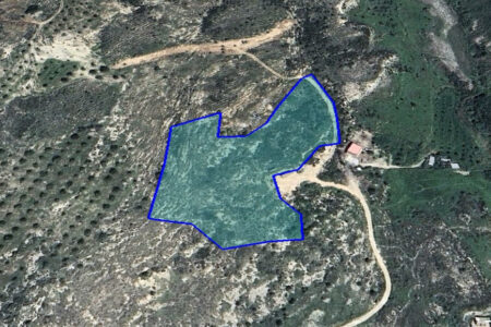 For Sale: Agricultural land, Konia, Paphos, Cyprus FC-60901