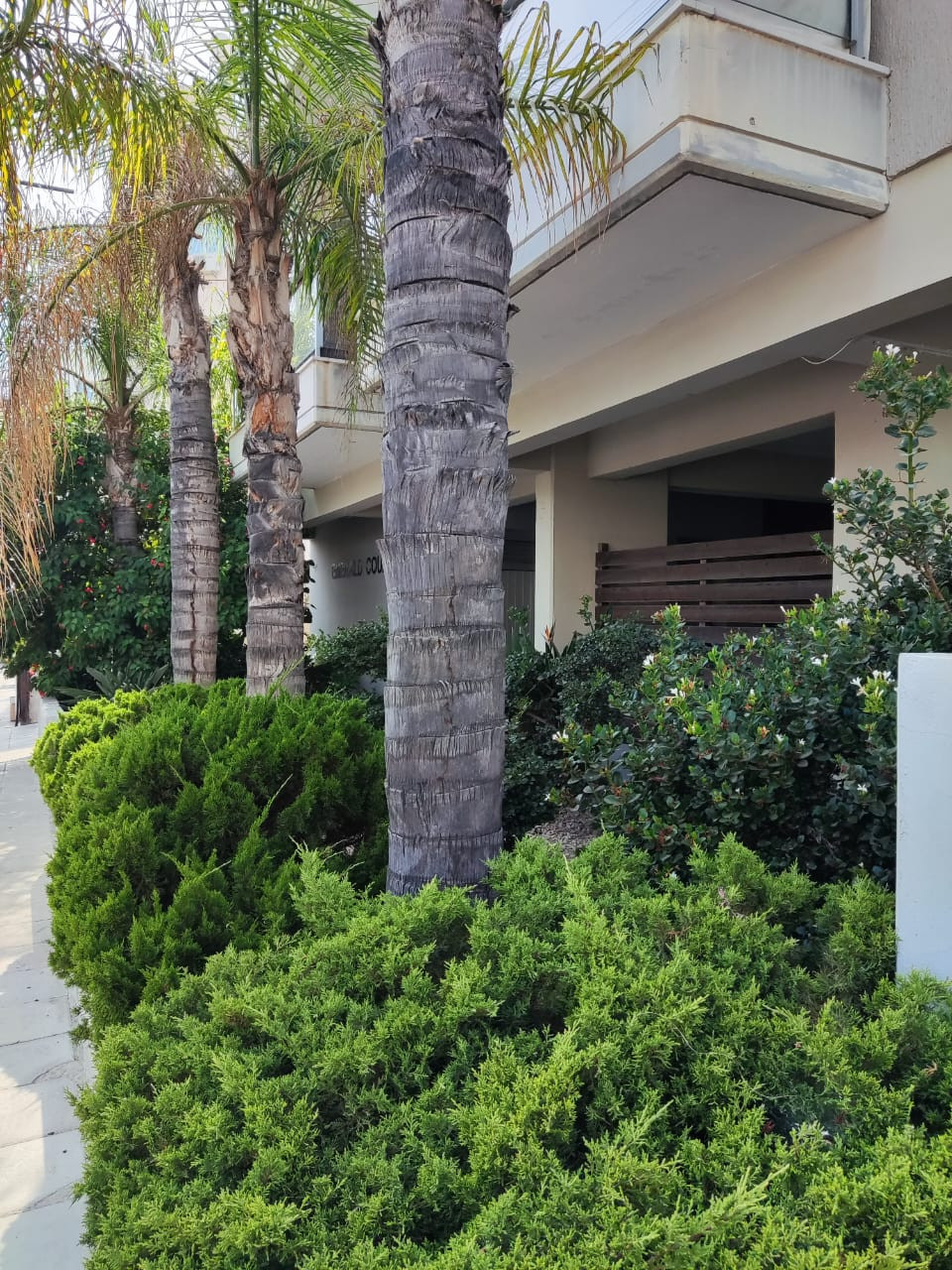 For Sale: Apartments, Agia Zoni, Limassol, Cyprus FC-61261 - #8