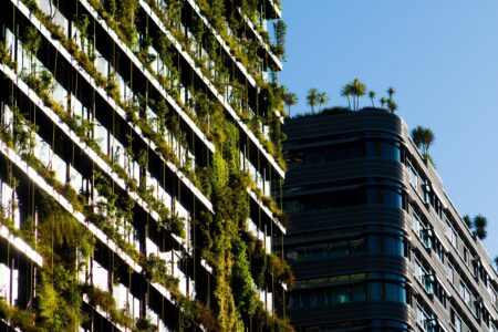 Vertical Gardens and Terrace Landscaping: Eco-Design Trends and Their Impact on Property Values in Cyprus