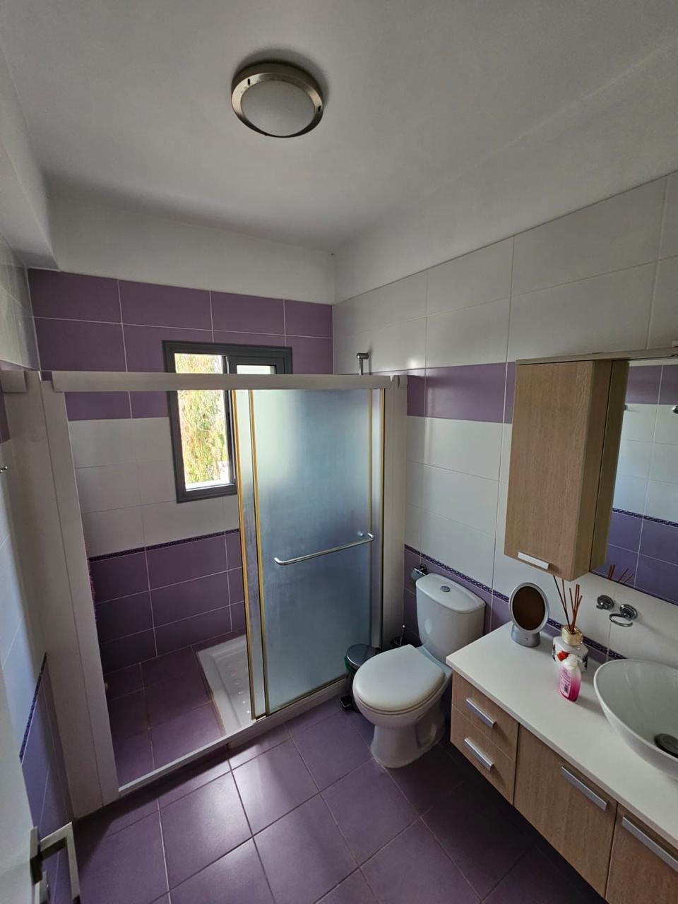 For Sale: Detached house, Konia, Paphos, Cyprus FC-54520 - #13