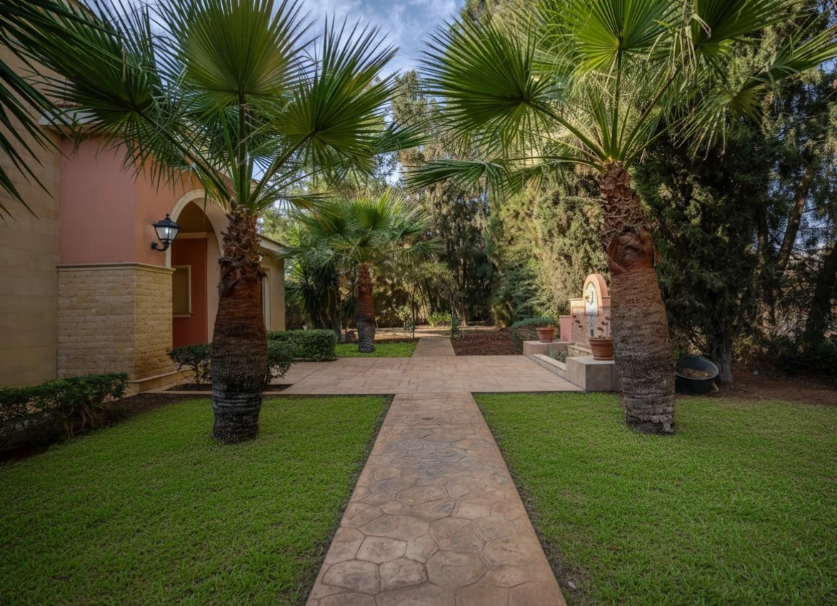 For Sale: Detached house, Agios Sylas, Limassol, Cyprus FC-61374 - #3