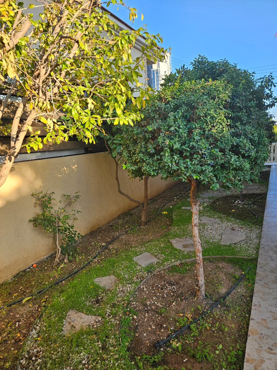 For Rent: Detached house, Germasoyia Tourist Area, Limassol, Cyprus FC-61405 - #17 For Rent: Detached house, Germasoyia Tourist Area, Limassol, Cyprus FC-61405 - #17