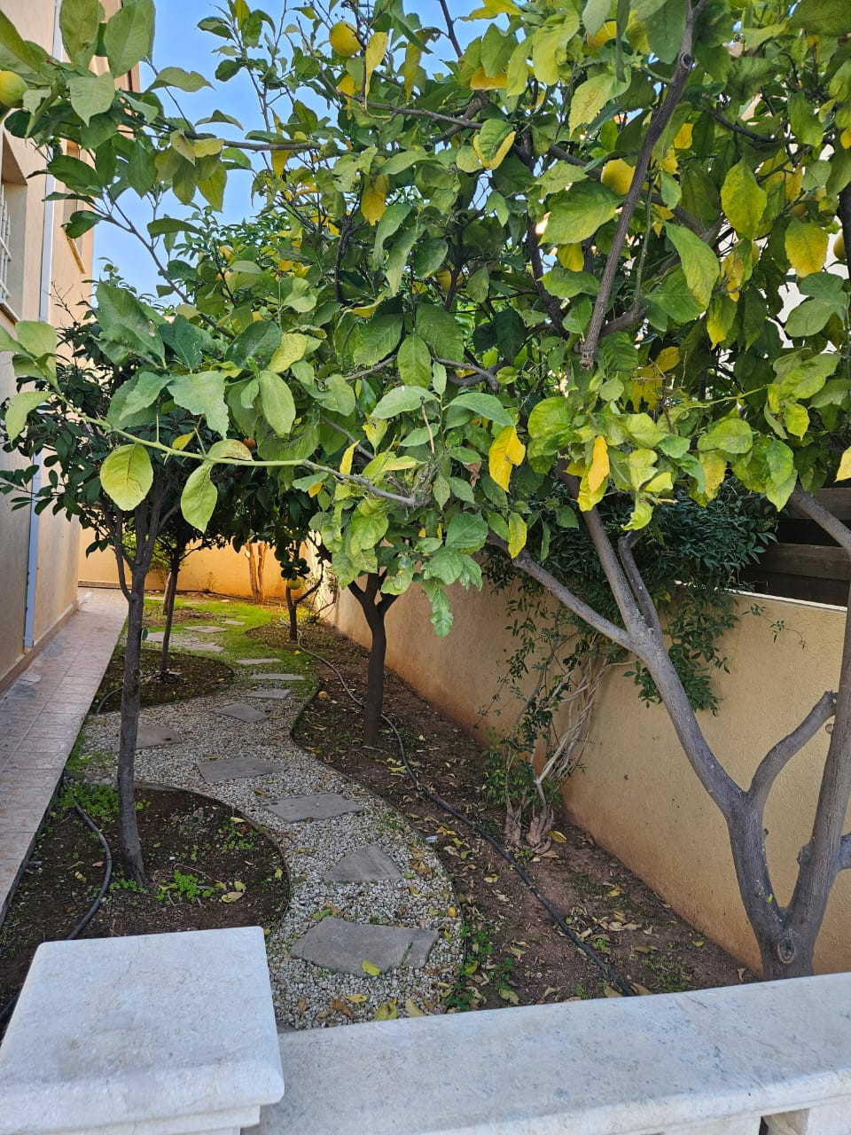 For Rent: Detached house, Germasoyia Tourist Area, Limassol, Cyprus FC-61405 - #19 For Rent: Detached house, Germasoyia Tourist Area, Limassol, Cyprus FC-61405 - #19