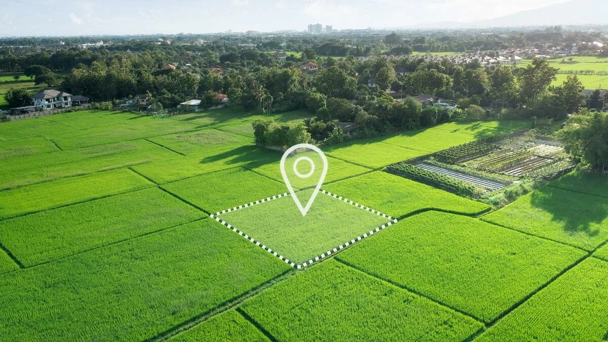 Buying Land in Paphos: A Complete Investment Guide for 2026