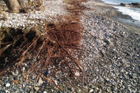 Climate risks and coastal erosion: long-term forecast for the first line