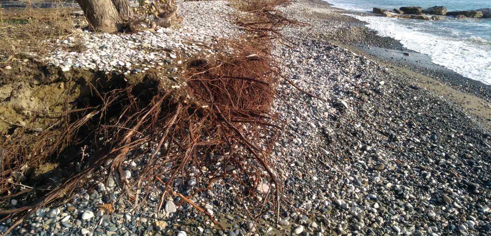 Climate risks and coastal erosion: long-term forecast for the first line