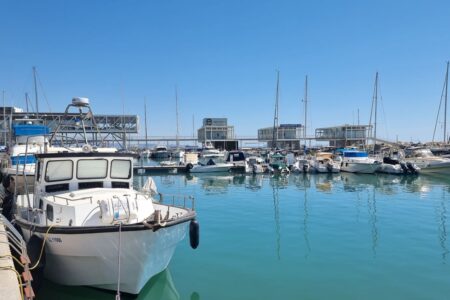 Development of ports and marinas as a catalyst for the gentrification of entire areas