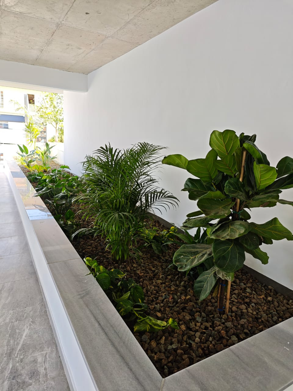 For Sale: Apartments, Omonoias, Limassol, Cyprus FC-61928 - #6