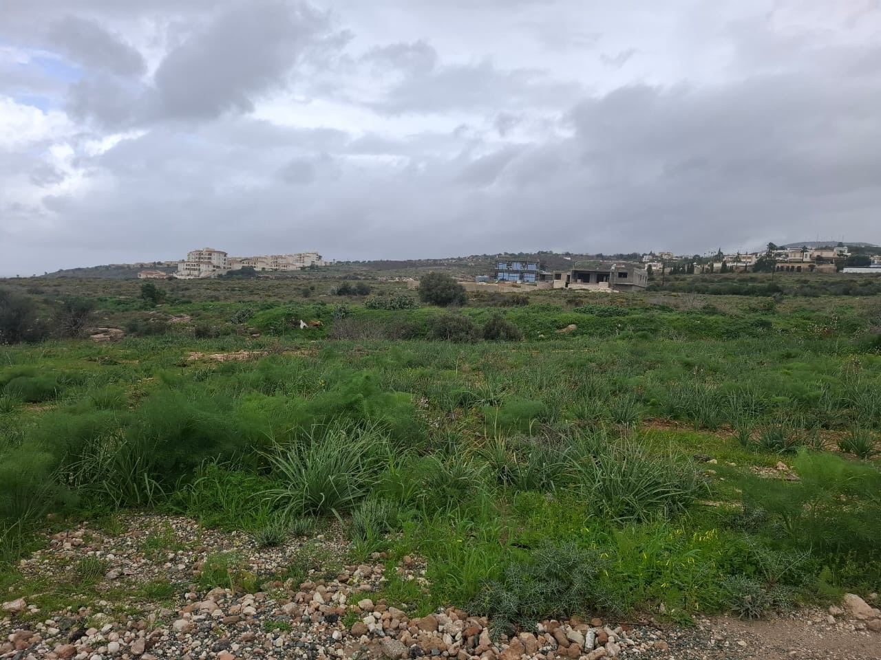 For Sale: Residential land, Trimithousa, Paphos, Cyprus FC-62107 - #4