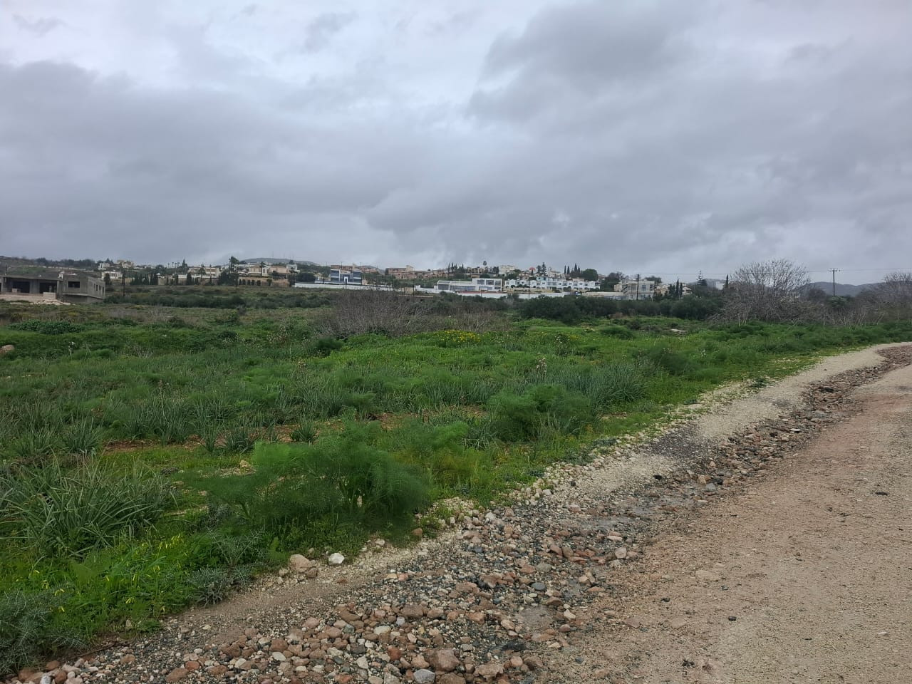 For Sale: Residential land, Trimithousa, Paphos, Cyprus FC-62107 - #3