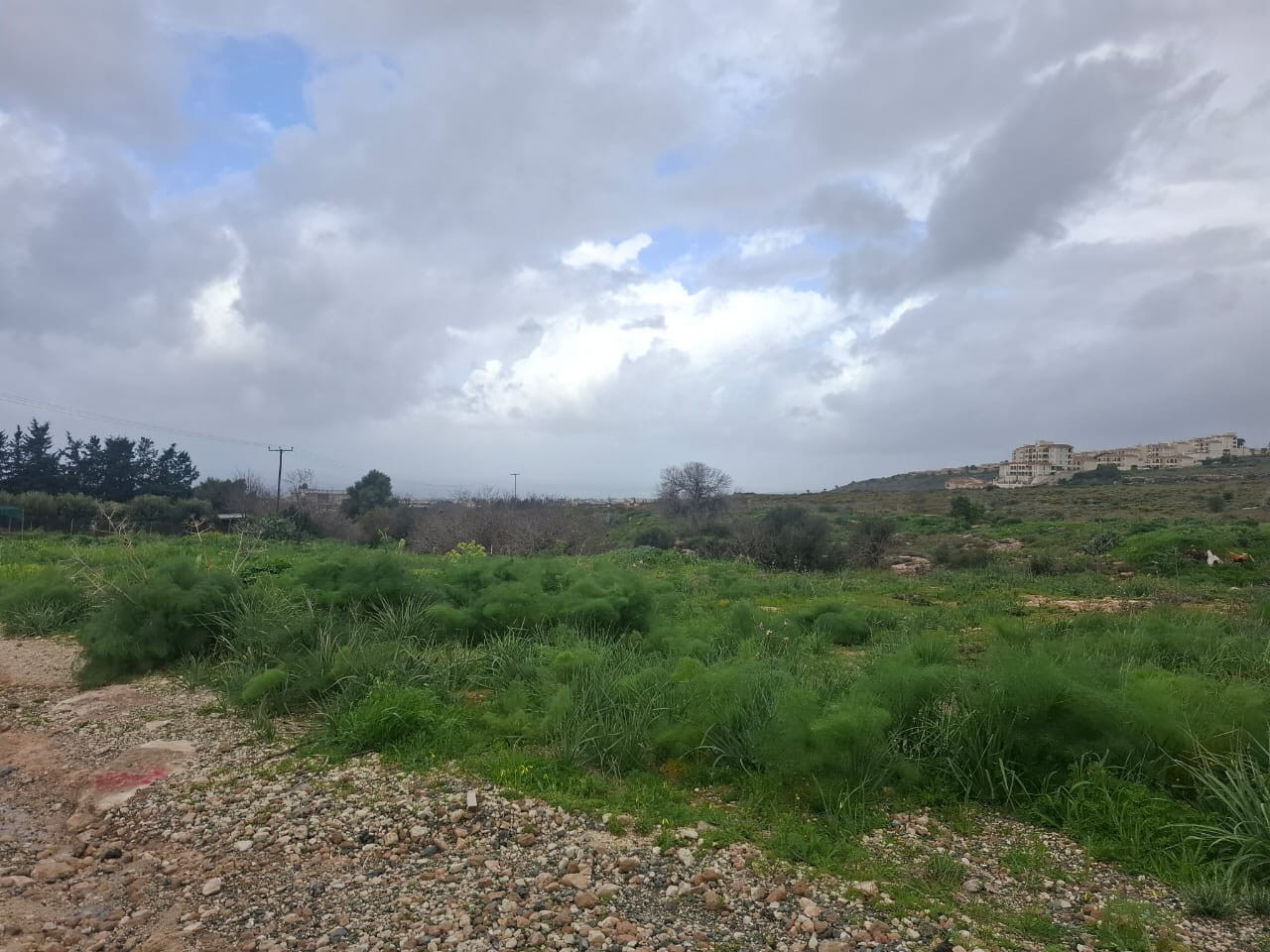 For Sale: Residential land, Trimithousa, Paphos, Cyprus FC-62107 - #2