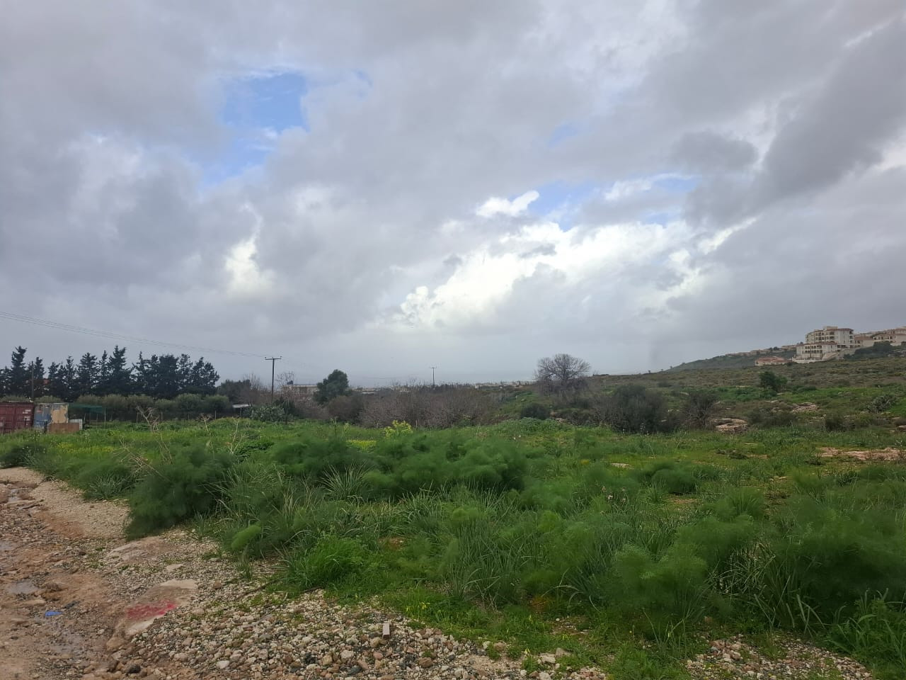 For Sale: Residential land, Trimithousa, Paphos, Cyprus FC-62107 - #5