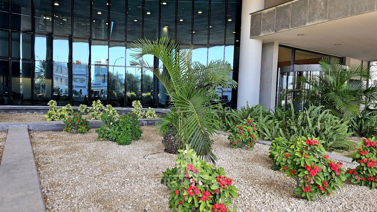 For Rent: Office, City Area, Limassol, Cyprus FC-62164 - #3