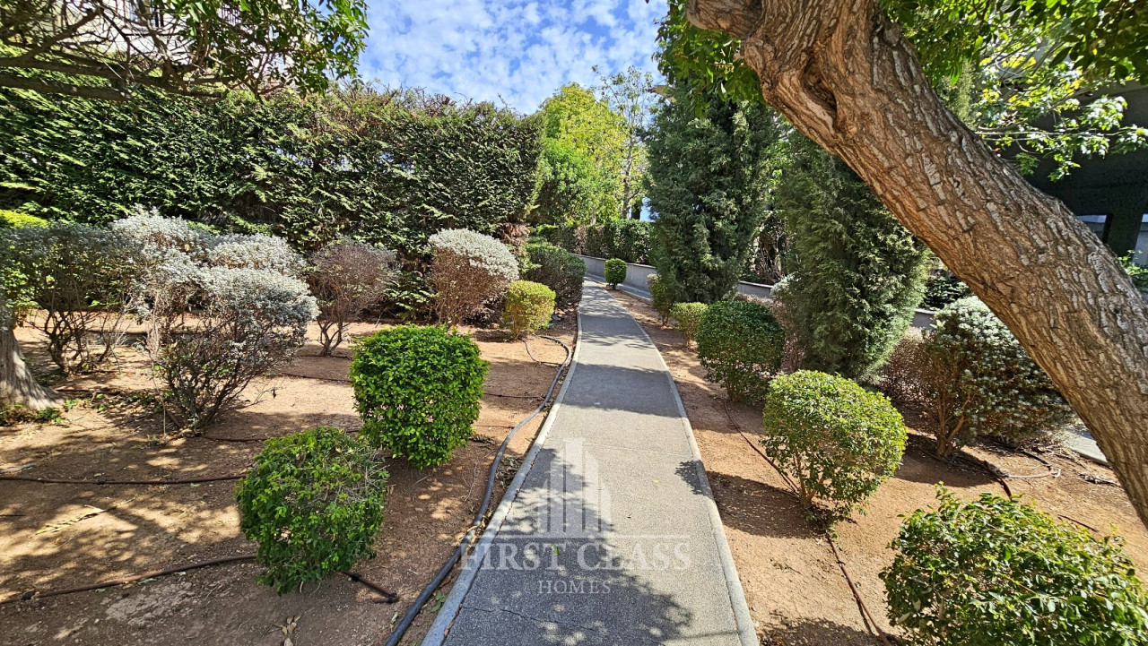 For Rent: Office, City Area, Limassol, Cyprus FC-62164 - #13