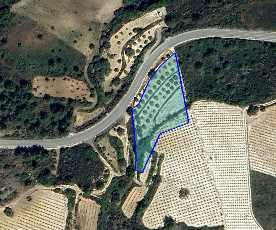 For Sale: Agricultural land, Agios Mamas, Limassol, Cyprus FC-62226 - #1