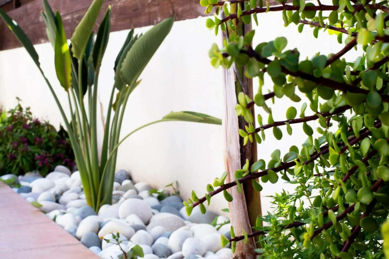 For Sale: Apartments, Agios Theodoros Paphos, Paphos, Cyprus FC-62241 - #11