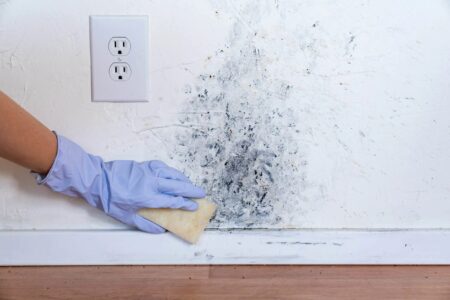 Combating damp and mould in Cyprus: An expert guide to choosing ventilation and waterproofing systems