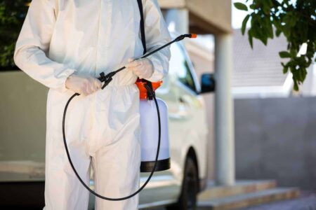 Protecting your home from insects and rodents in Cyprus: professional solutions and prevention