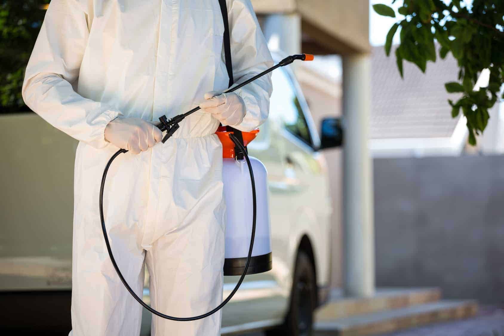 Protecting your home from insects and rodents in Cyprus: professional solutions and prevention