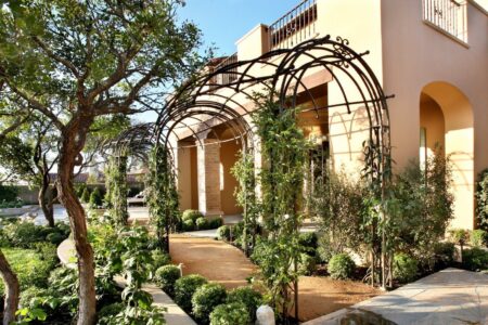 Landscape design in Cyprus: creating an energy-efficient garden and choosing plants for the climate