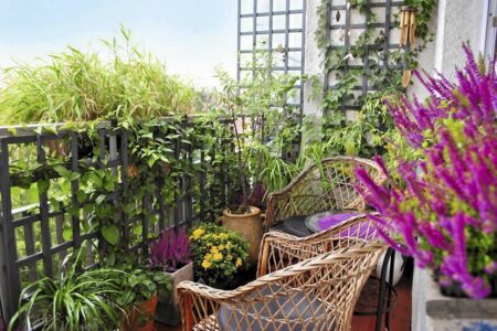 Balcony Gardening in Cyprus: The Best Plants for Extreme Sun