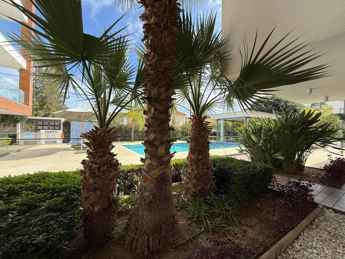 For Rent: Apartments, Papas Area, Limassol, Cyprus FC-62764 - #4