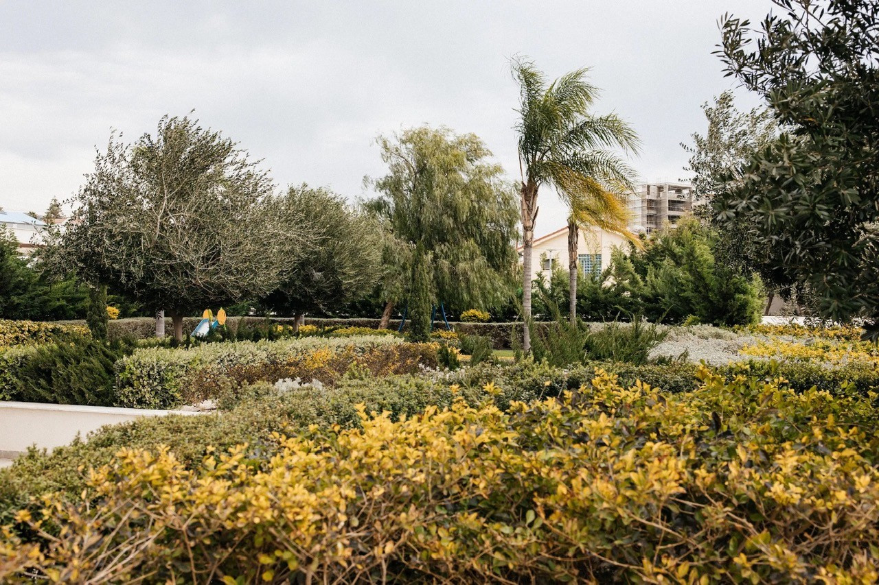 For Sale: Apartments, Amathus Area, Limassol, Cyprus FC-63015 - #3