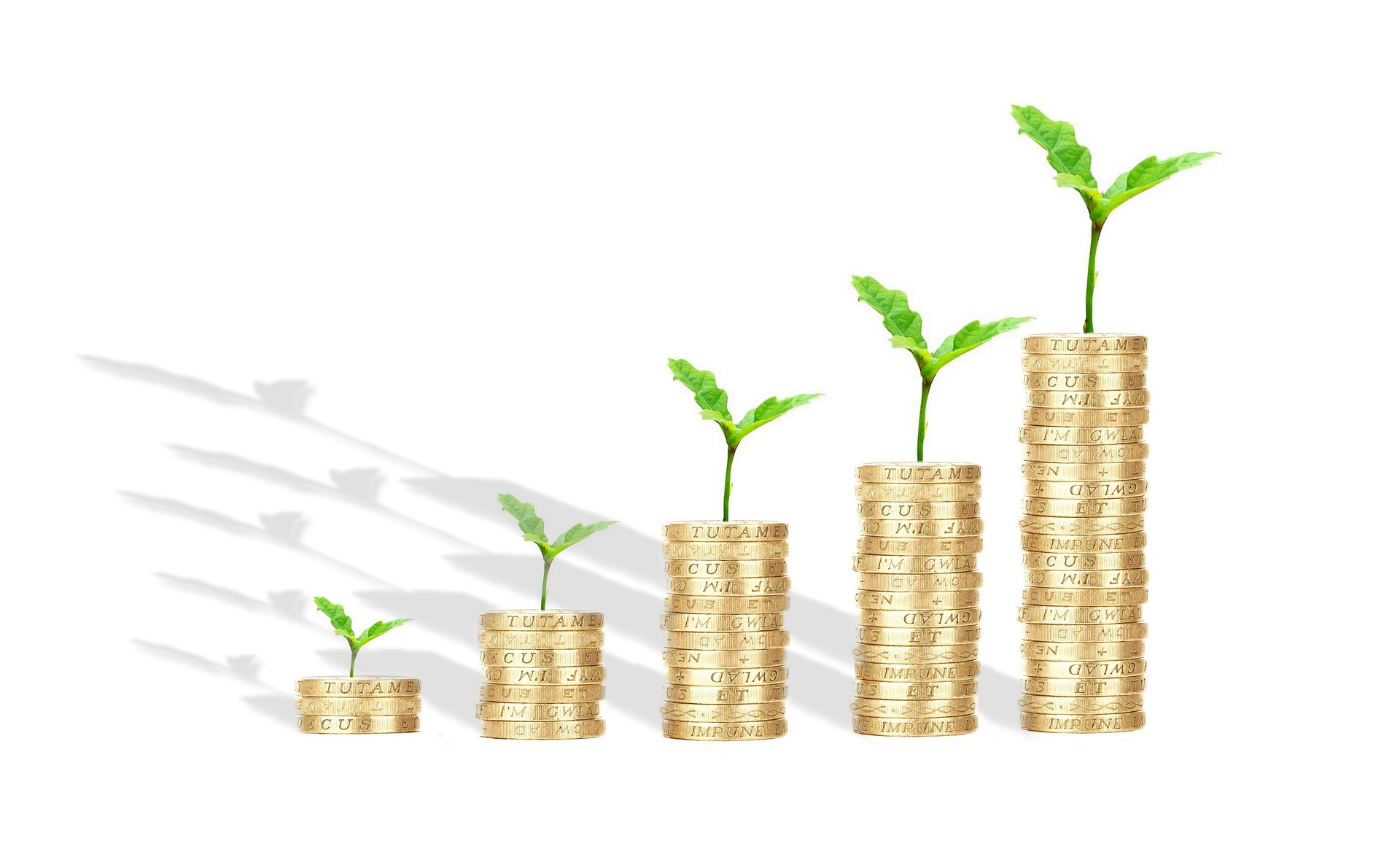 The number of building permits issued in Cyprus in 2025 increased by 19.5 %