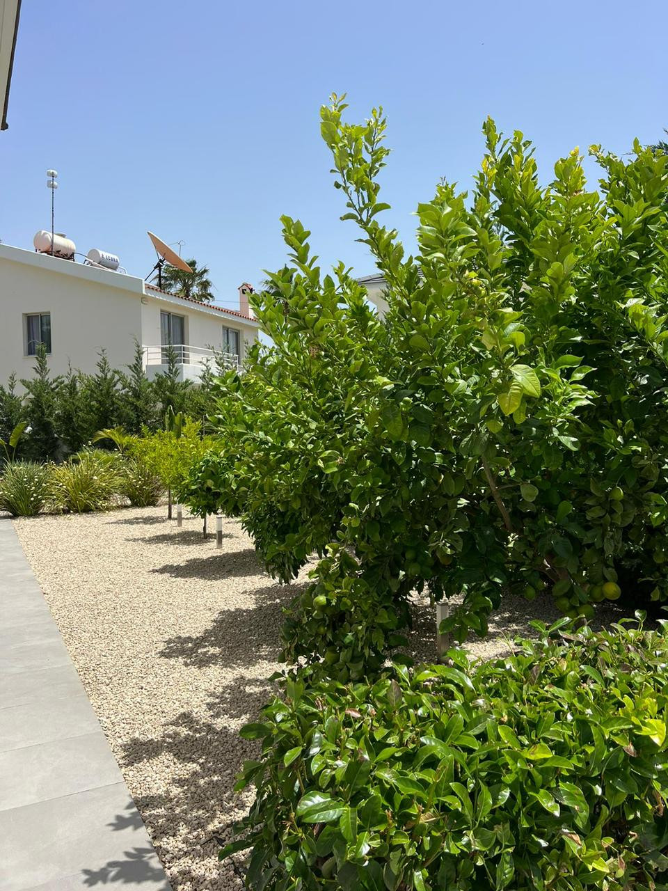 For Rent: Detached house, Pyrgos, Limassol, Cyprus FC-63268 - #10