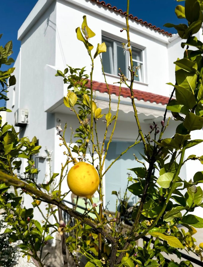 For Rent: Detached house, Pegeia, Paphos, Cyprus FC-63346 - #4