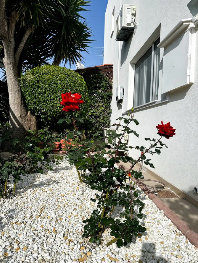 For Rent: Detached house, Pegeia, Paphos, Cyprus FC-63346 - #5