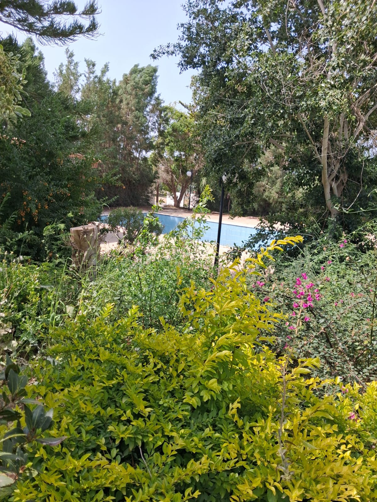 For Sale: Residential land, Chlorakas, Paphos, Cyprus FC-63425 - #14