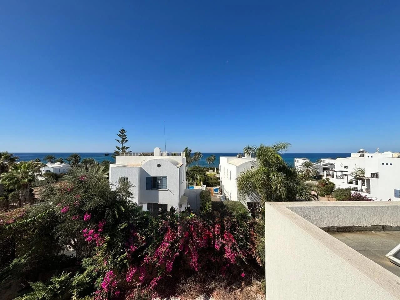 For Sale: Detached house, Chlorakas, Paphos, Cyprus FC-63426 - #1