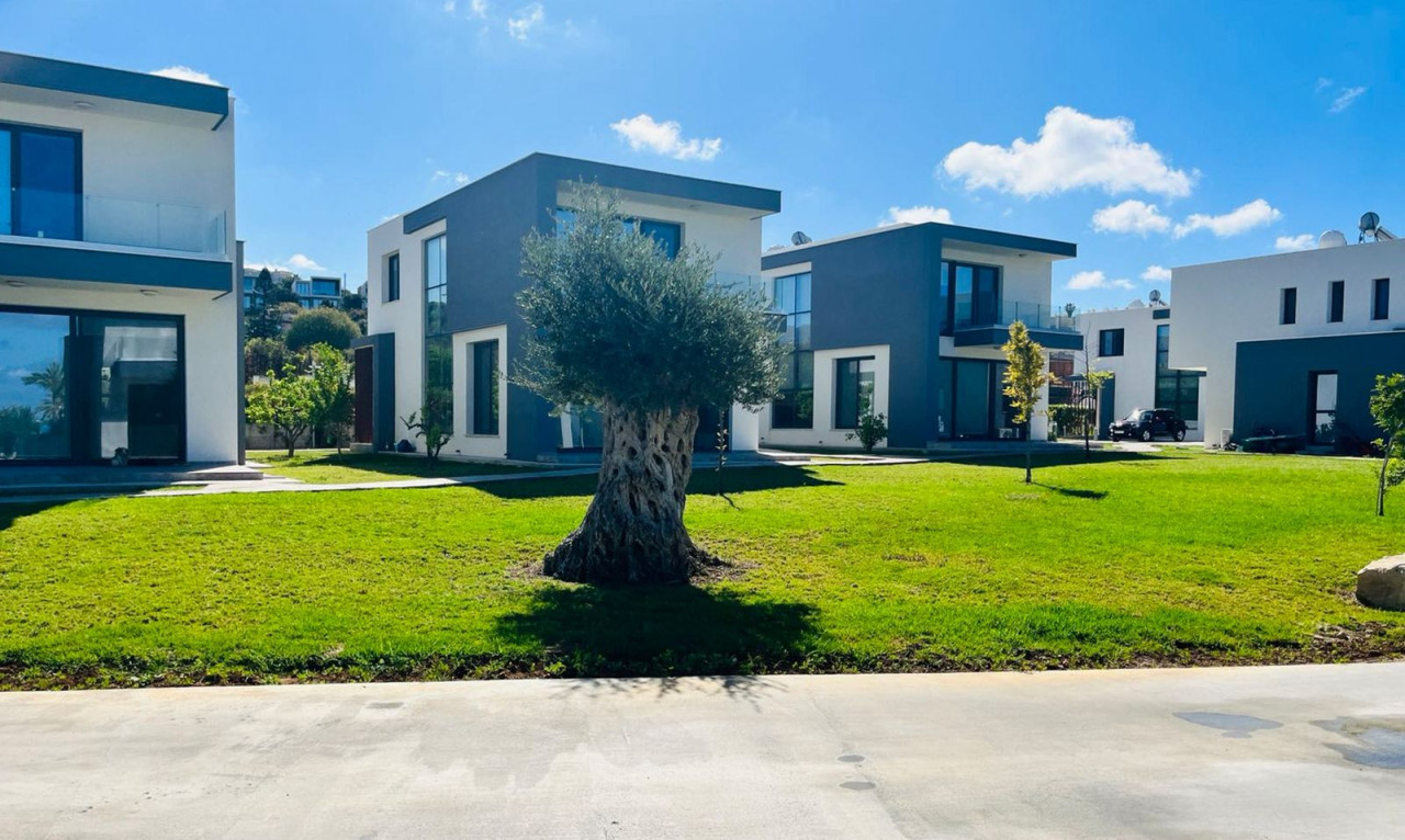 For Sale: Detached house, Kissonerga, Paphos, Cyprus FC-63427 - #3