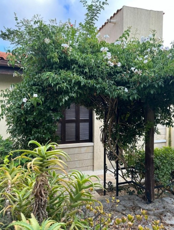 For Sale: Detached house, Tala, Paphos, Cyprus FC-63431 - #5