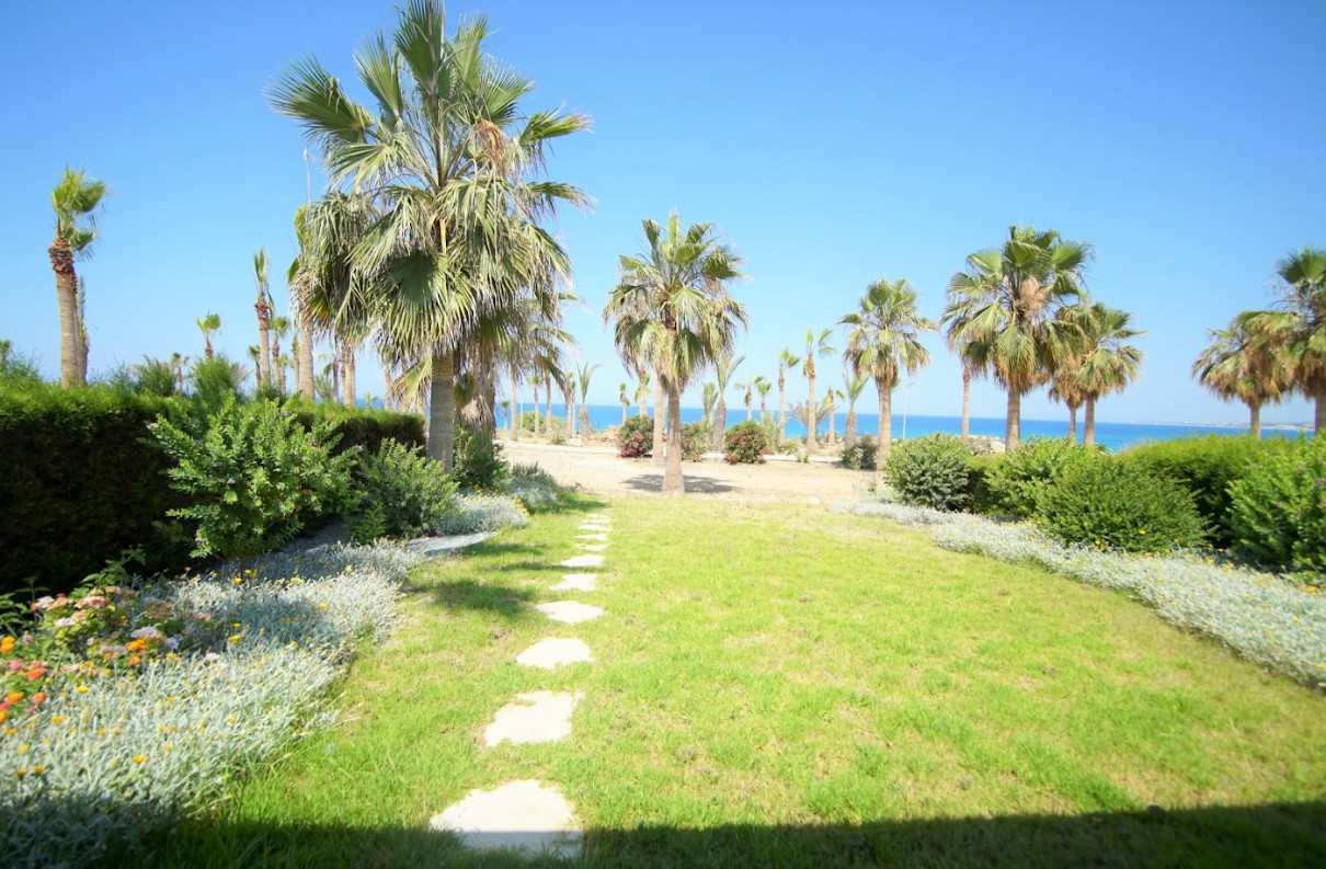 For Sale: Maisonette (Townhouse), Chlorakas, Paphos, Cyprus FC-63432 - #11 For Sale: Maisonette (Townhouse), Chlorakas, Paphos, Cyprus FC-63432 - #11