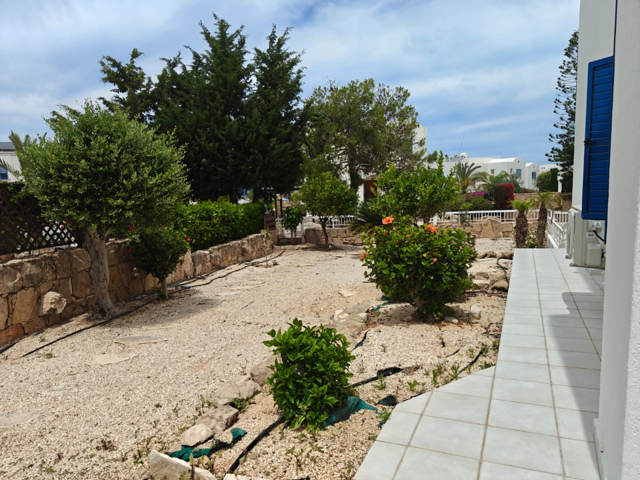 For Rent: Detached house, Chlorakas, Paphos, Cyprus FC-63603 - #10