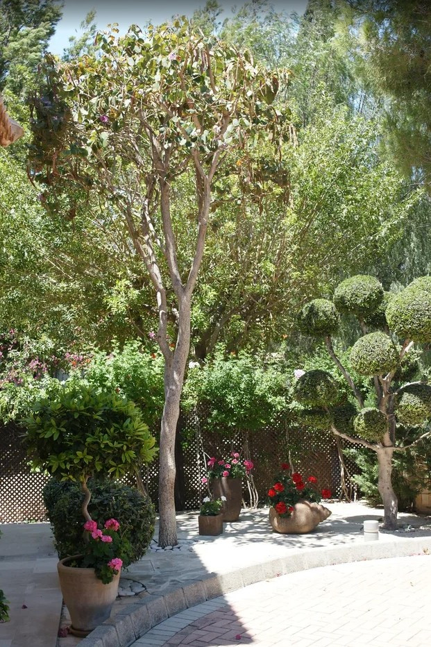 For Sale: Detached house, Aphrodite Hills, Paphos, Cyprus FC-63728 - #16 For Sale: Detached house, Aphrodite Hills, Paphos, Cyprus FC-63728 - #16