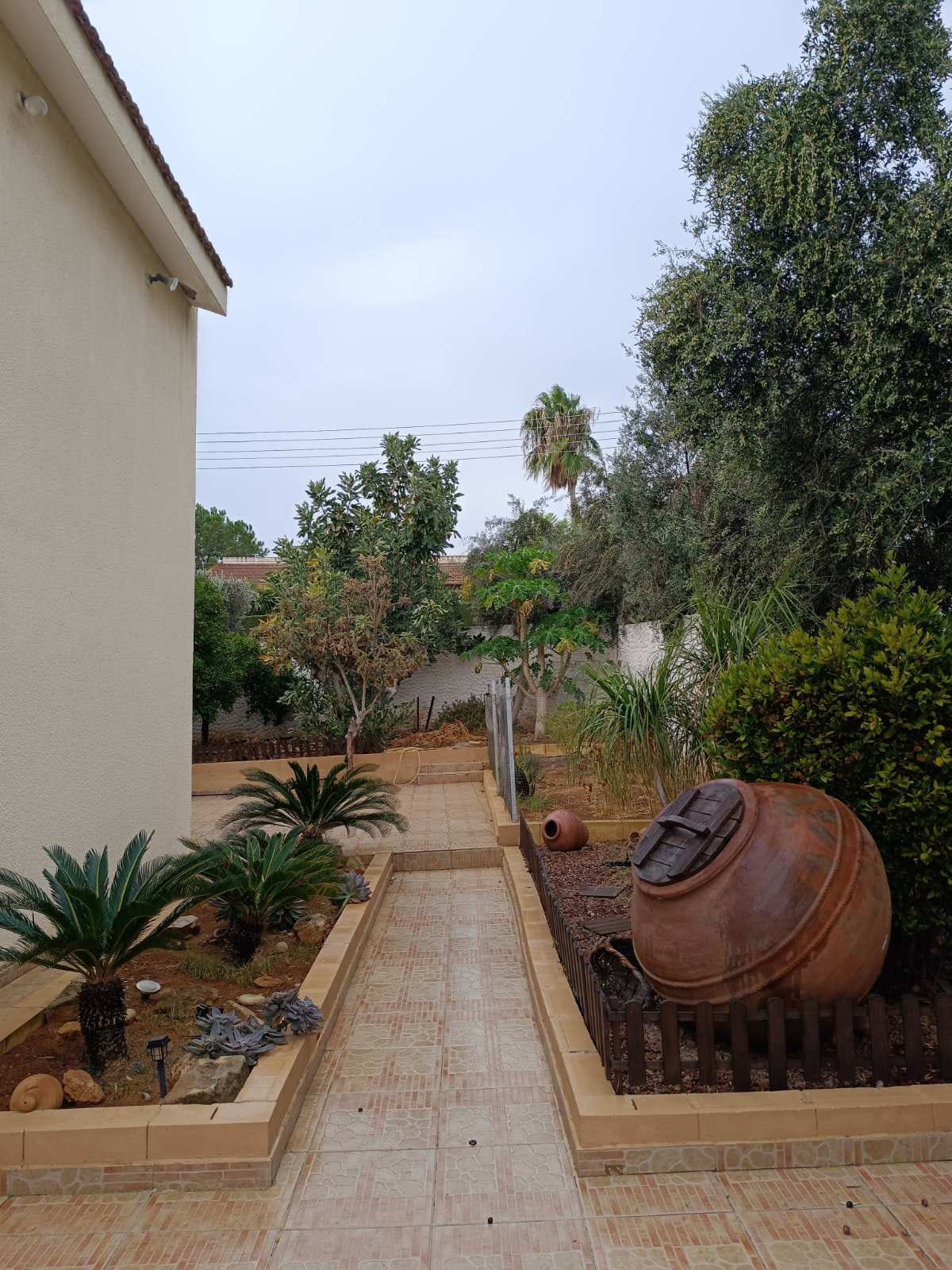 For Sale: Detached house, Erimi, Limassol, Cyprus FC-64040 - #16