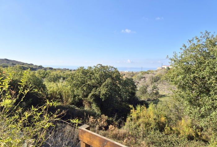 For Sale: Detached house, Tala, Paphos, Cyprus FC-64217 - #14