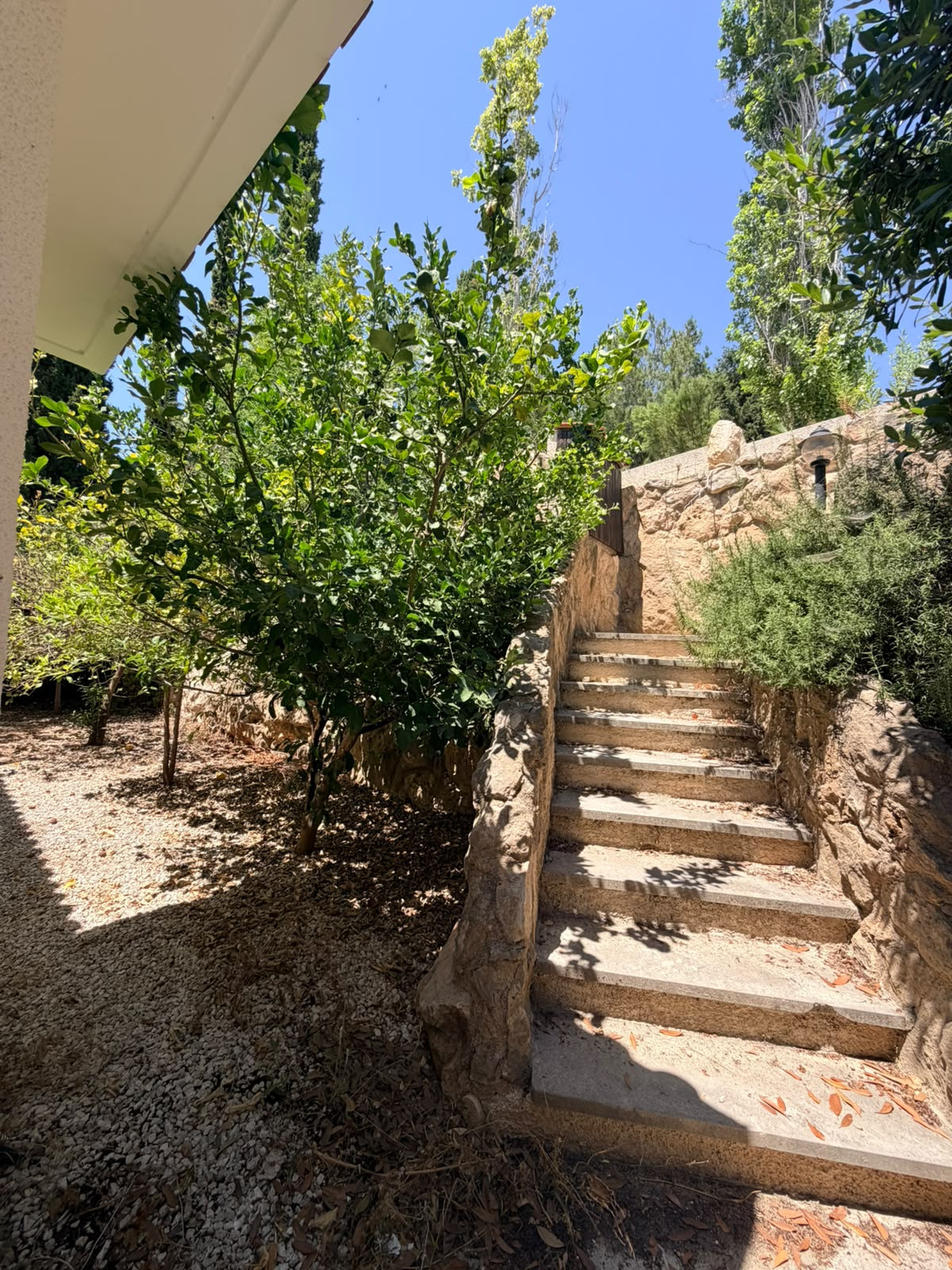 For Sale: Detached house, Tala, Paphos, Cyprus FC-64385 - #3 For Sale: Detached house, Tala, Paphos, Cyprus FC-64385 - #3