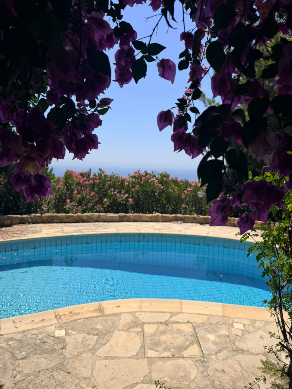 For Sale: Detached house, Tala, Paphos, Cyprus FC-64385 - #1 For Sale: Detached house, Tala, Paphos, Cyprus FC-64385 - #1